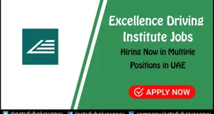 Excellence Driving Institute Jobs