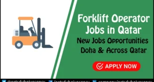 Forklift Operator Jobs in Qatar